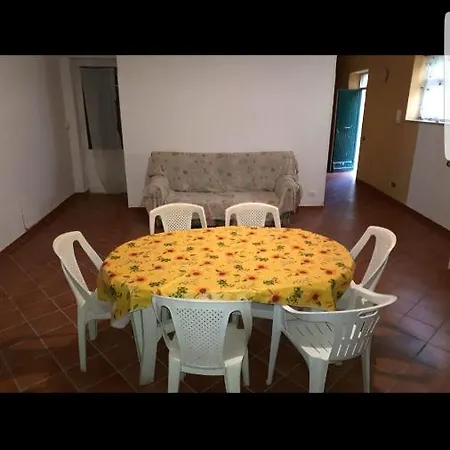 Daily House *